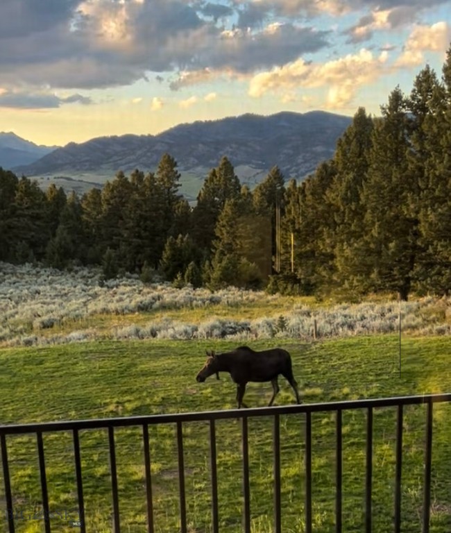 Certificate Of Survey COS - Residential