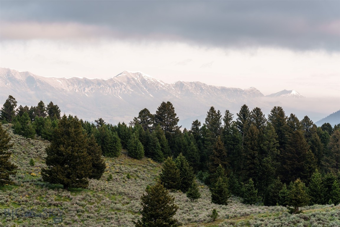 Certificate Of Survey COS - Residential