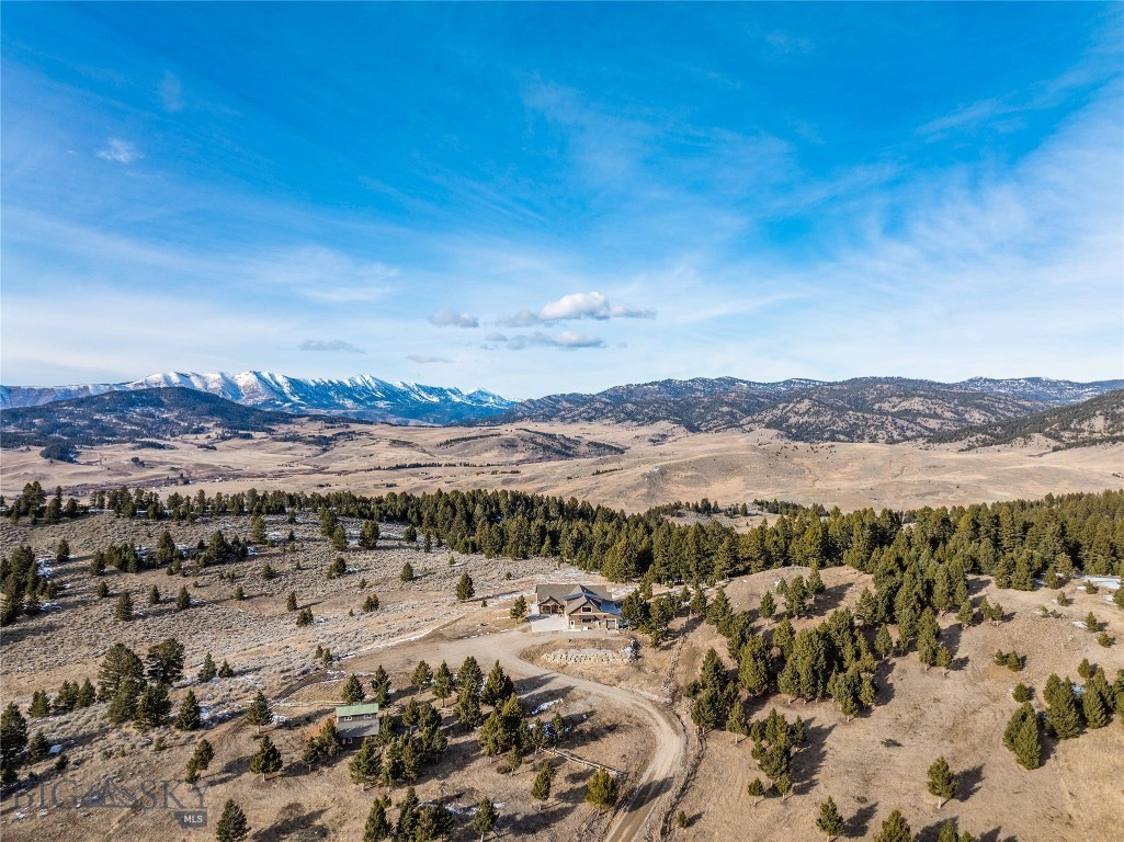 Certificate Of Survey COS - Residential