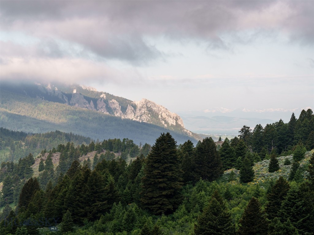 Certificate Of Survey COS - Residential