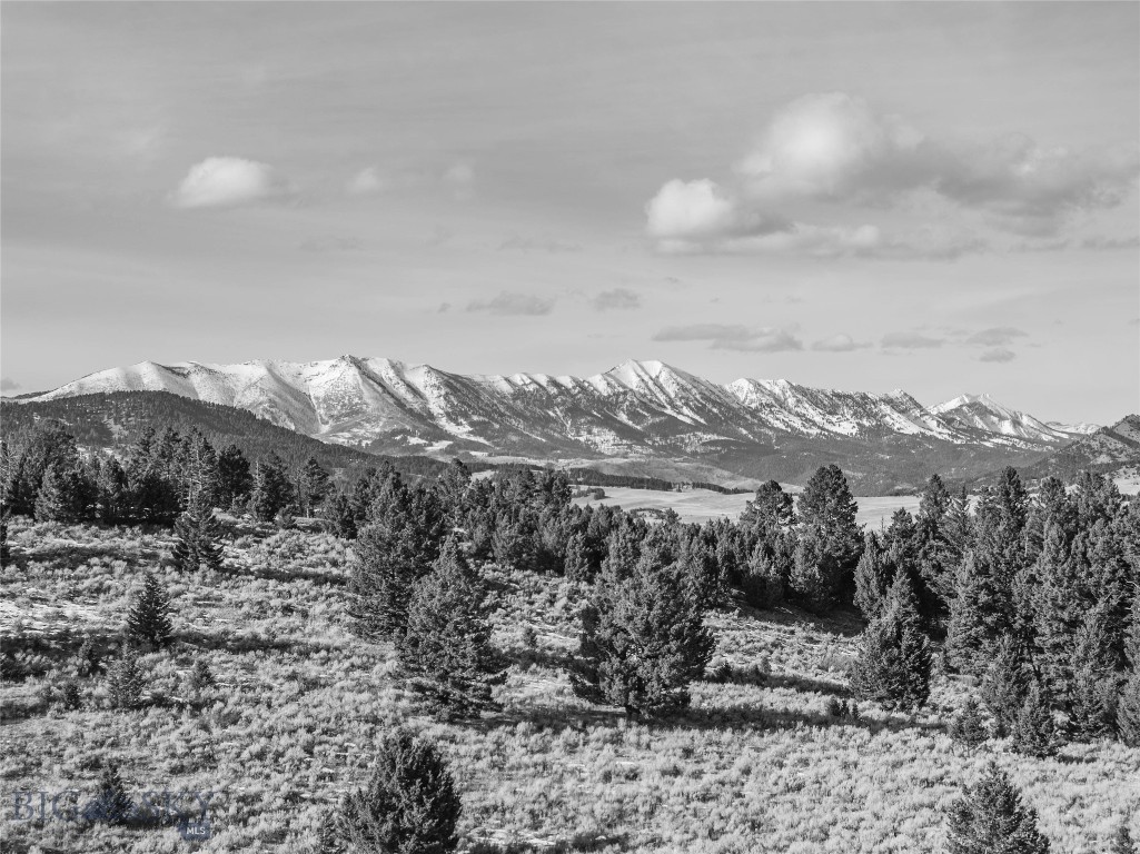 Certificate Of Survey COS - Residential