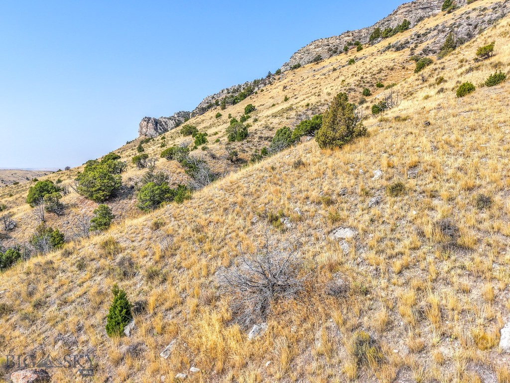 Gallatin River Ranch - Land
