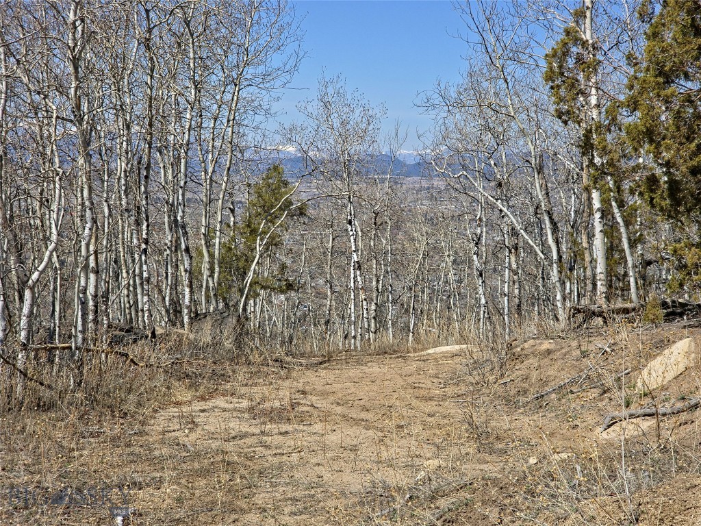 Other - Land