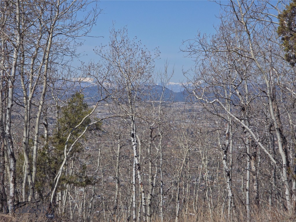 Other - Land