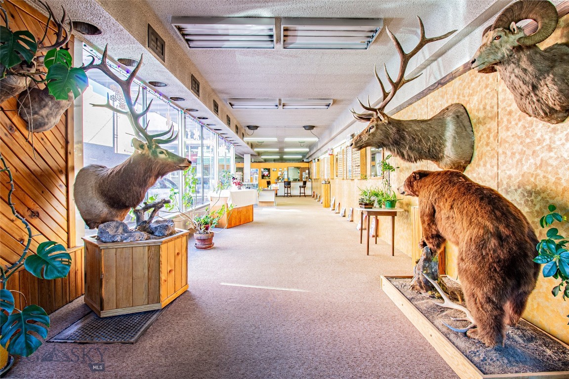 Other - Commercial Sale