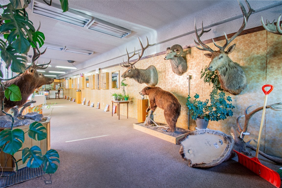 Other - Commercial Sale