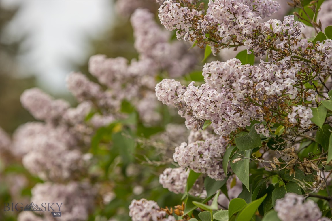 Bozeman, Montana 59718, United States, 3 Bedrooms Bedrooms, ,3 BathroomsBathrooms,Residential,Pending,145376