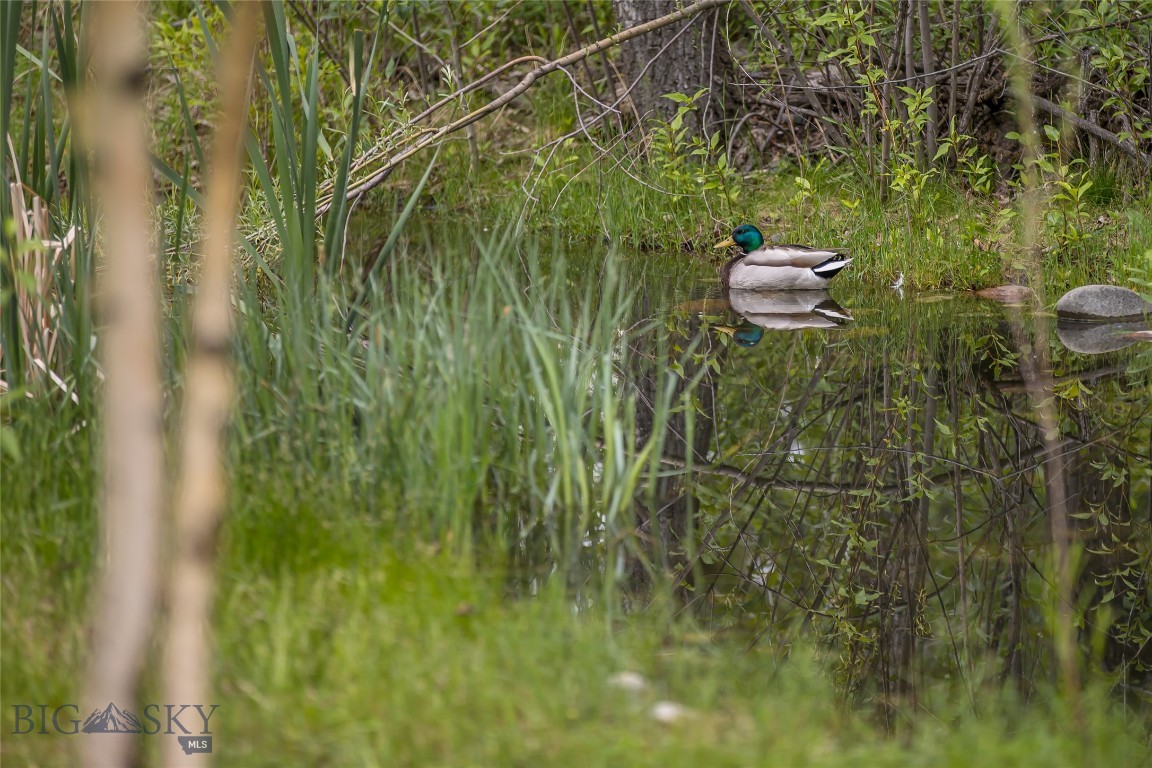 Bozeman, Montana 59718, United States, 3 Bedrooms Bedrooms, ,3 BathroomsBathrooms,Residential,Pending,145376