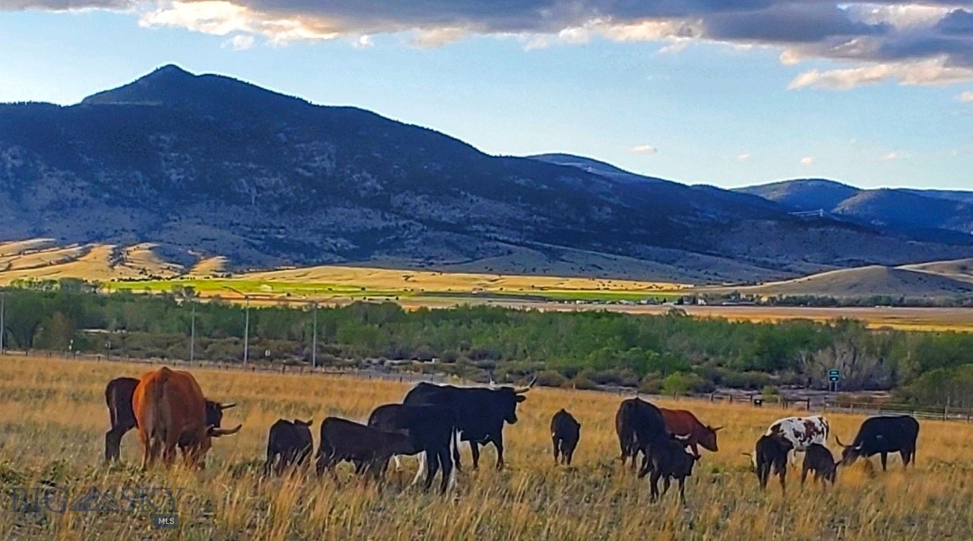 2733 Mt Highway 69