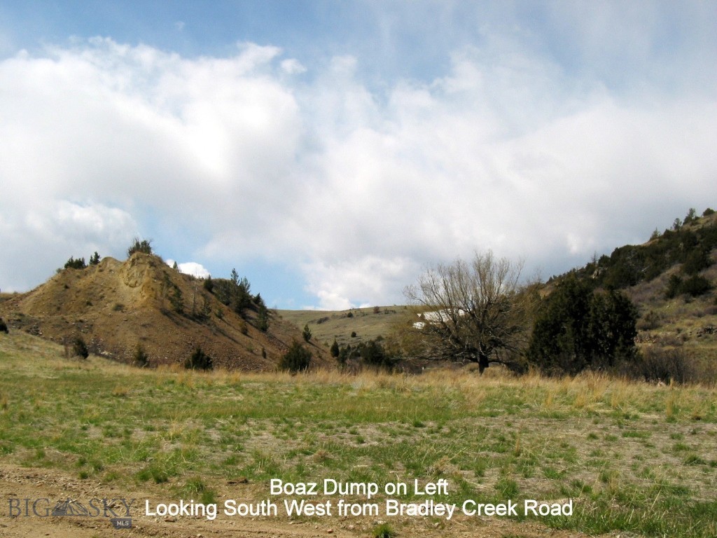 TBD - Parcel 1 Bradley Creek Rd