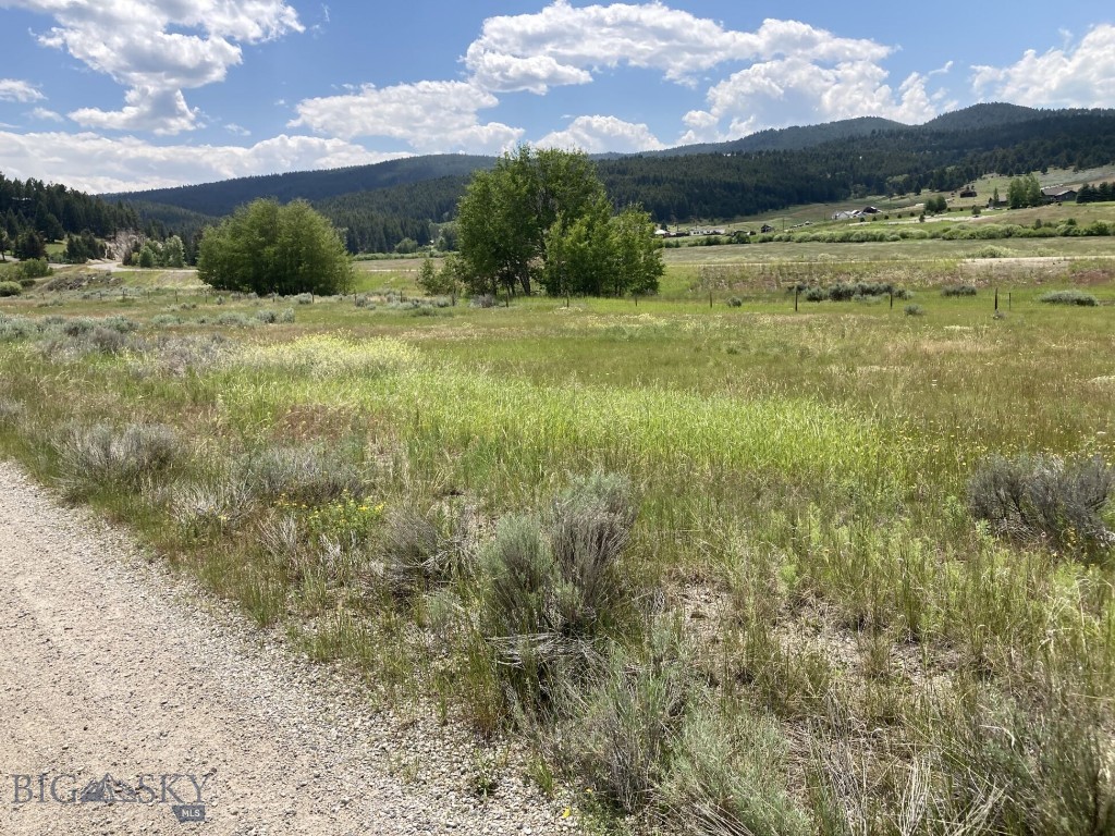 Discover the perfect canvas for your dream home on this exceptional 1.25-acre lot, Lot 4, in the sought-after Blacktail Creek Subdivision. Offering stunning views of the Highlands and East Ridge, this property is ideally located just south of town, combining natural beauty with unmatched convenience. Outdoor enthusiasts will appreciate the proximity to public lands and endless recreation. Thompson Park Recreation Area is less than a mile to the south, providing quick access to hiking and mountain biking trails. The Deer Lodge National Forest and its expansive trail network are also just about a mile away, offering opportunities for hunting, fishing, camping, and exploration. With its peaceful, rural setting, breathtaking mountain views, and close access to both city amenities and recreation, this lot is the ideal blend of Montana living. Don’t miss your opportunity to own a piece of this incredible landscape.