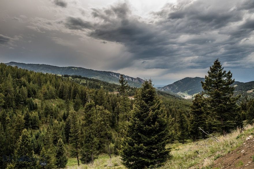 Set along coveted Woodchuck Road adjoining Timberline Creek Subdivision, this exceptional 19.667-acre offering captures the essence of refined Montana mountain living. A mature stand of towering timber creates a private forest sanctuary rich with native wildlife, including deer, elk, and the occasional moose that wander through the landscape.

Multiple homesites reveal sweeping views of Bozeman Pass, the Bridger Mountains, and the Tobacco Root Range beyond, offering a dramatic backdrop for a custom residence or legacy retreat. The property balances seclusion with accessibility, delivering a rare sense of privacy and stillness just 20 scenic minutes from both Bozeman and Livingston.

With power already in place, the parcel presents an extraordinary opportunity to create a private mountain estate, family compound, or enduring retreat in one of Southwest Montana’s most sought-after settings. A property defined by scale, setting, and natural beauty, it offers a timeless canvas for those seeking an authentic connection to the Montana landscape.