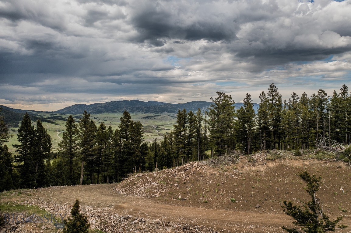 Certificate Of Survey COS - Land