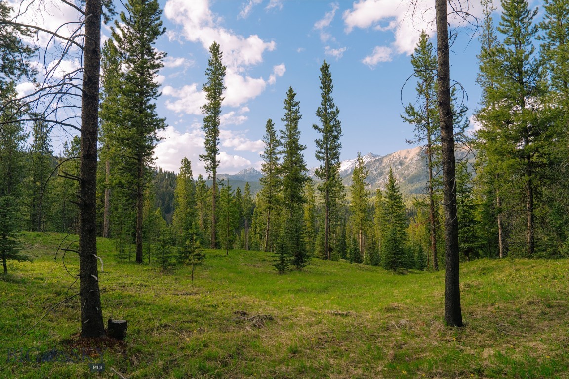 Spring Creek Reserve Neighborhood - Land