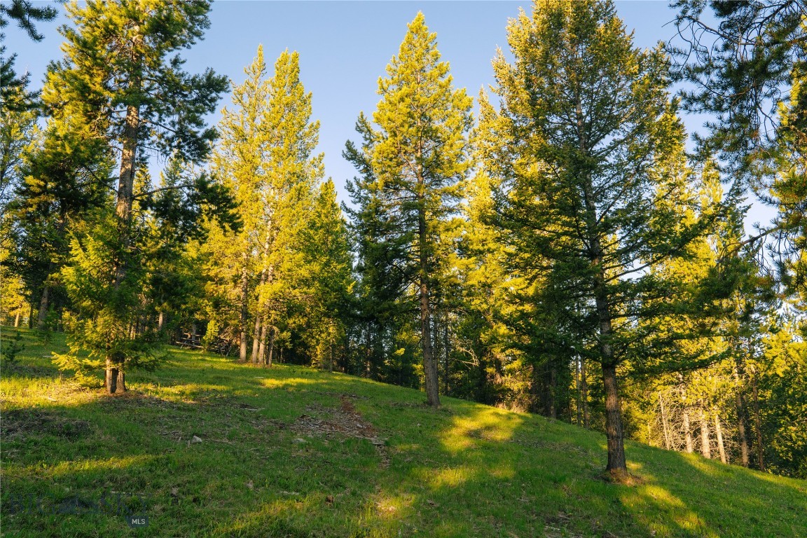 Spring Creek Reserve Neighborhood - Land