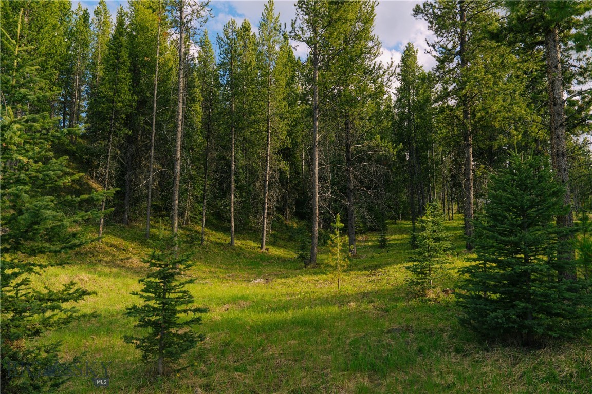 Spring Creek Reserve Neighborhood - Land