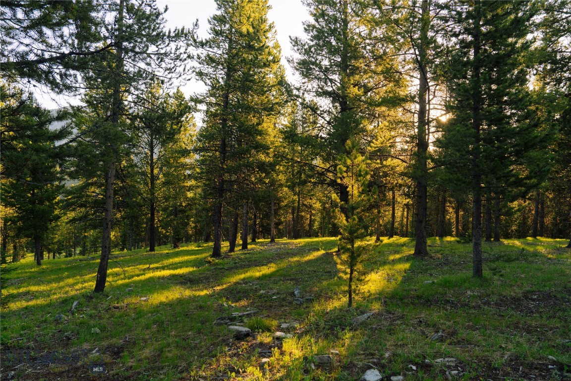 Spring Creek Reserve Neighborhood - Land