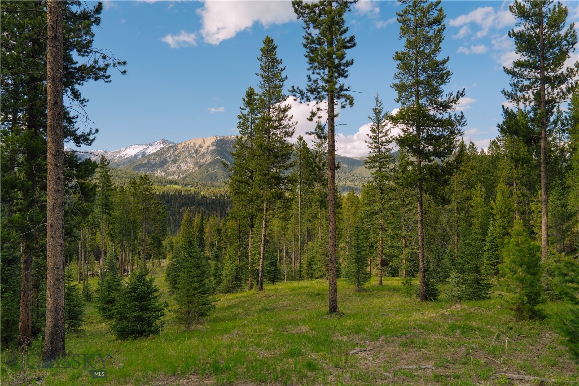 Lot 206 Outlook Trail