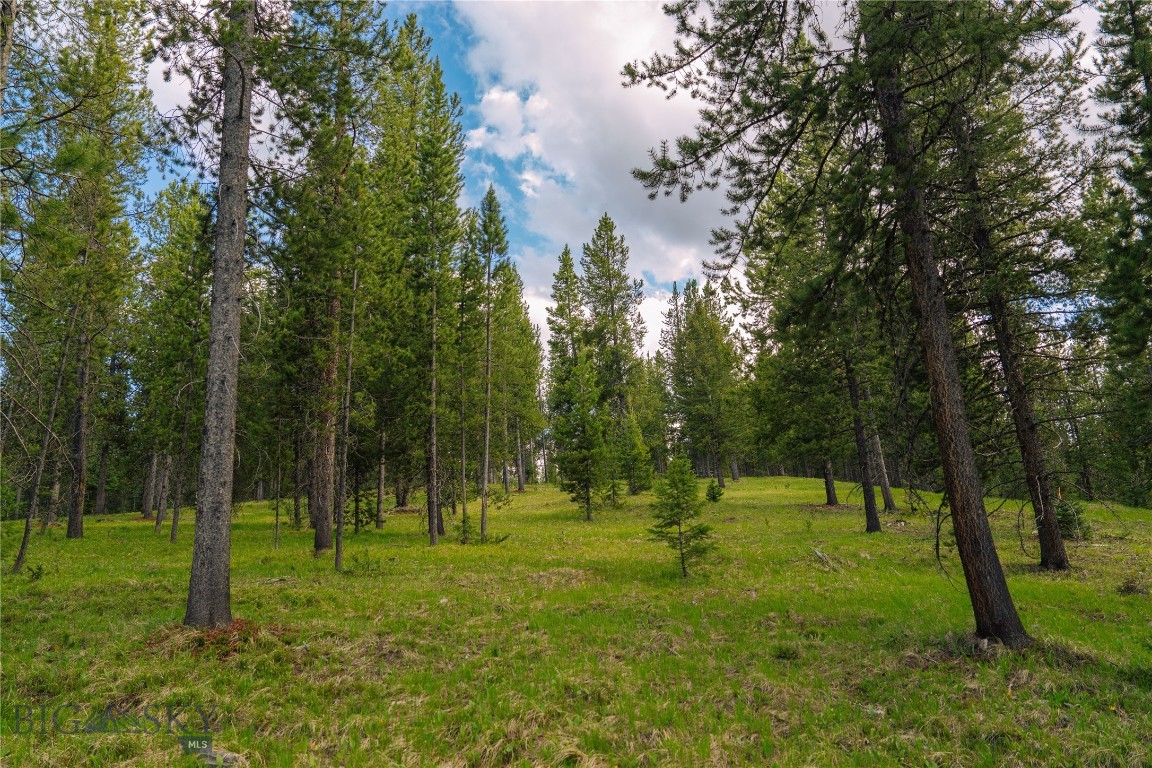 Spring Creek Reserve Neighborhood - Land