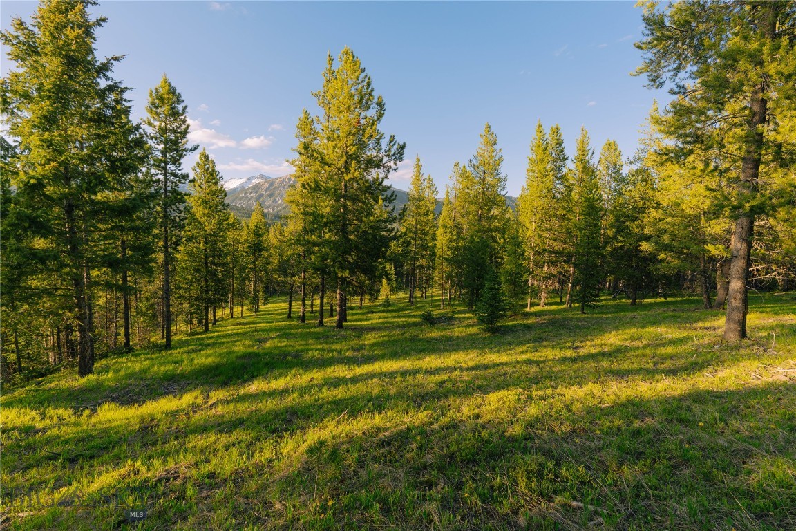 Spring Creek Reserve Neighborhood - Land