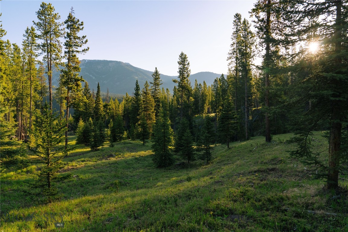 Spring Creek Reserve Neighborhood - Land