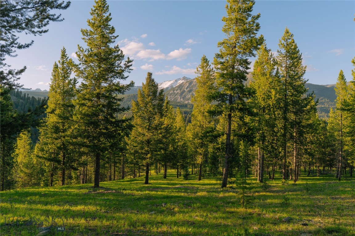 Spring Creek Reserve Neighborhood - Land