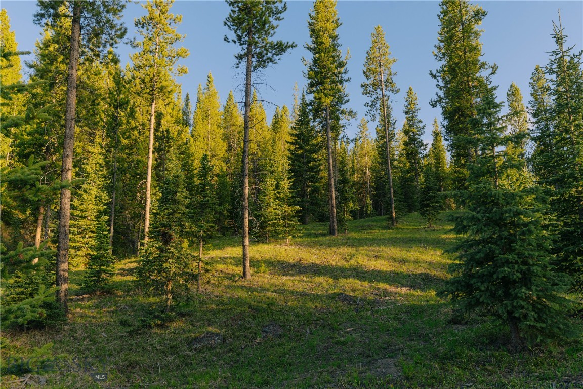Spring Creek Reserve Neighborhood - Land