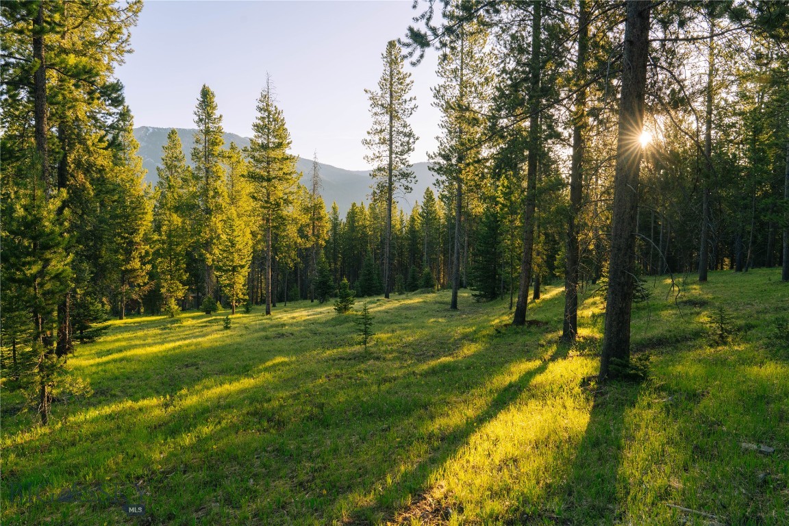 Spring Creek Reserve Neighborhood - Land