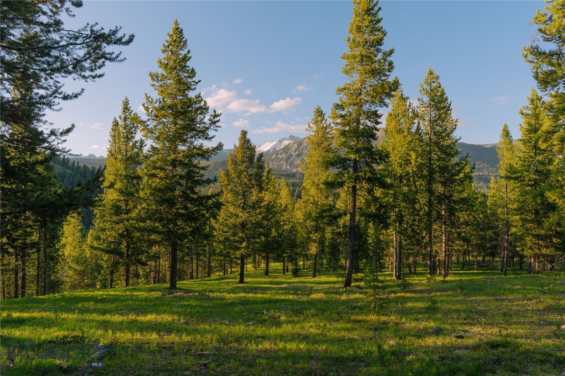 Spring Creek Reserve Neighborhood - Land