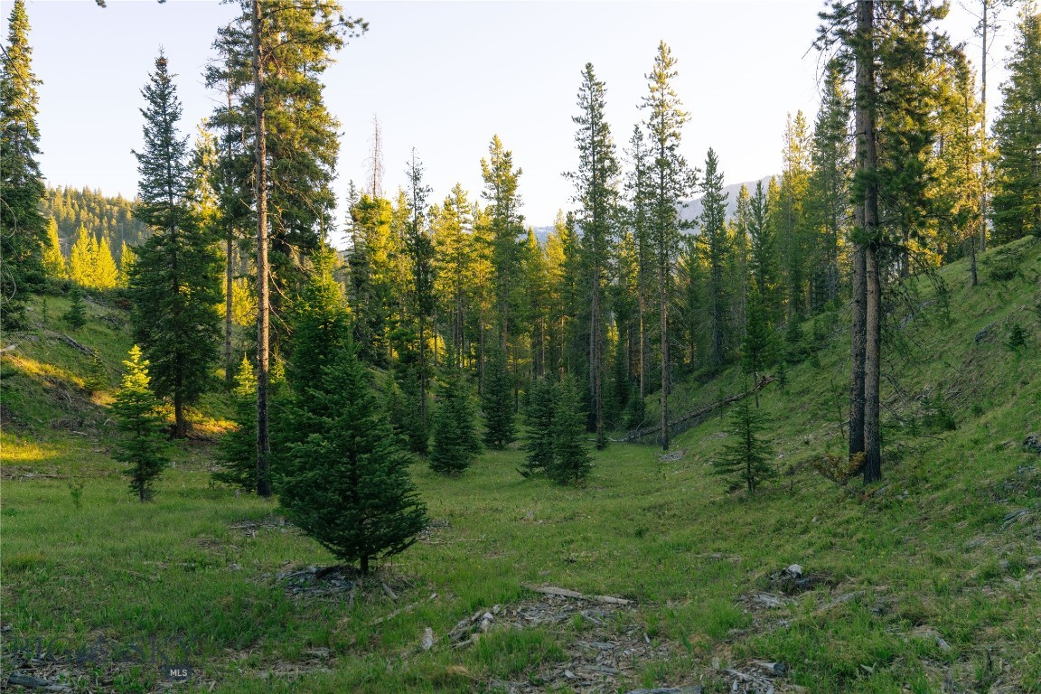 Spring Creek Reserve Neighborhood - Land