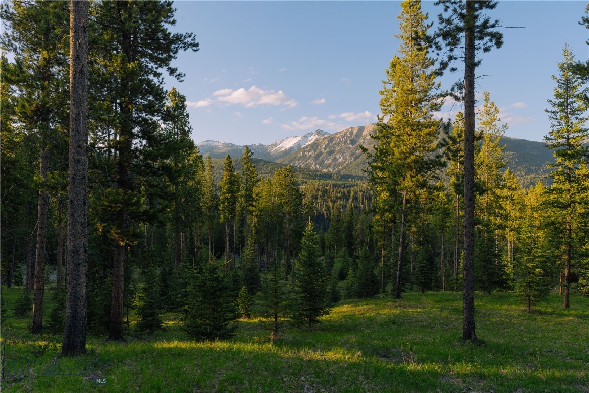 Spring Creek Reserve Neighborhood - Land