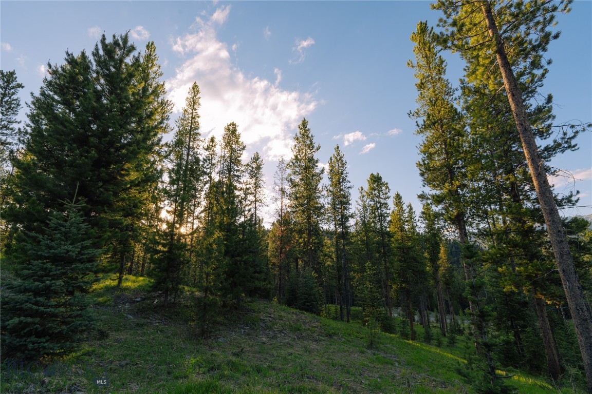 Spring Creek Reserve Neighborhood - Land