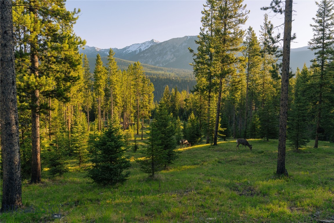 Spring Creek Reserve Neighborhood - Land