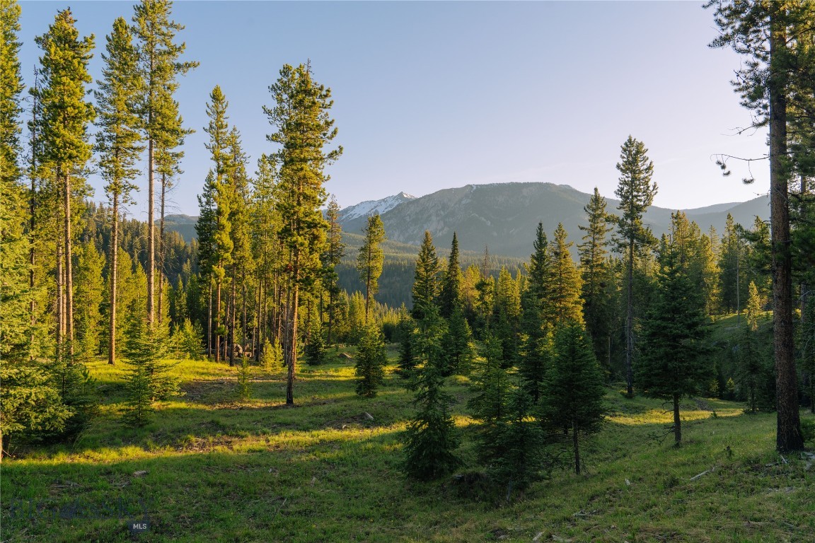 Spring Creek Reserve Neighborhood - Land