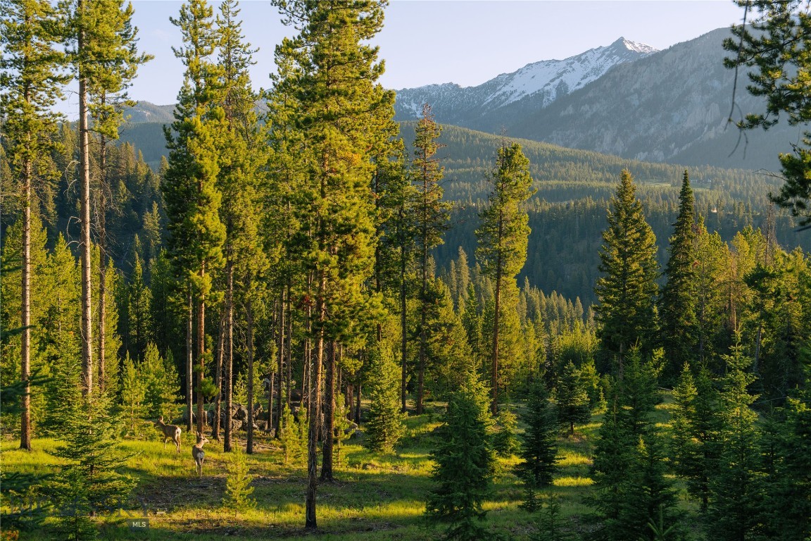 Spring Creek Reserve Neighborhood - Land