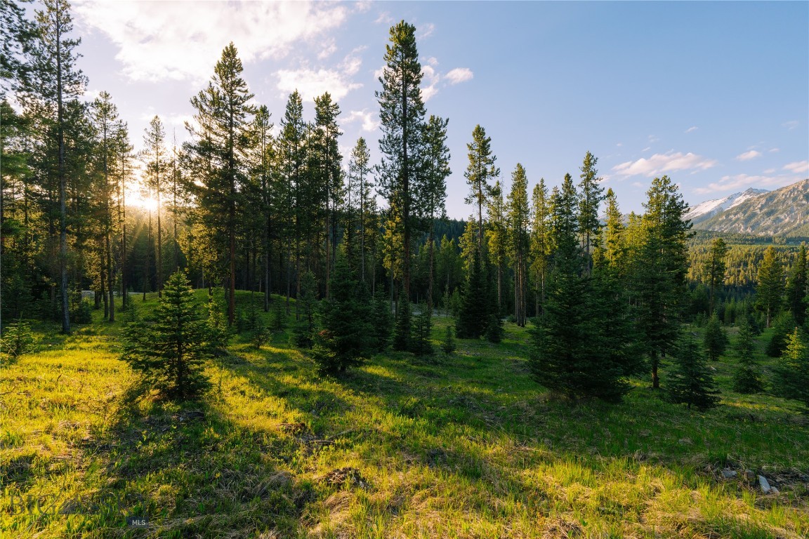 Lot 206 Outlook Trail