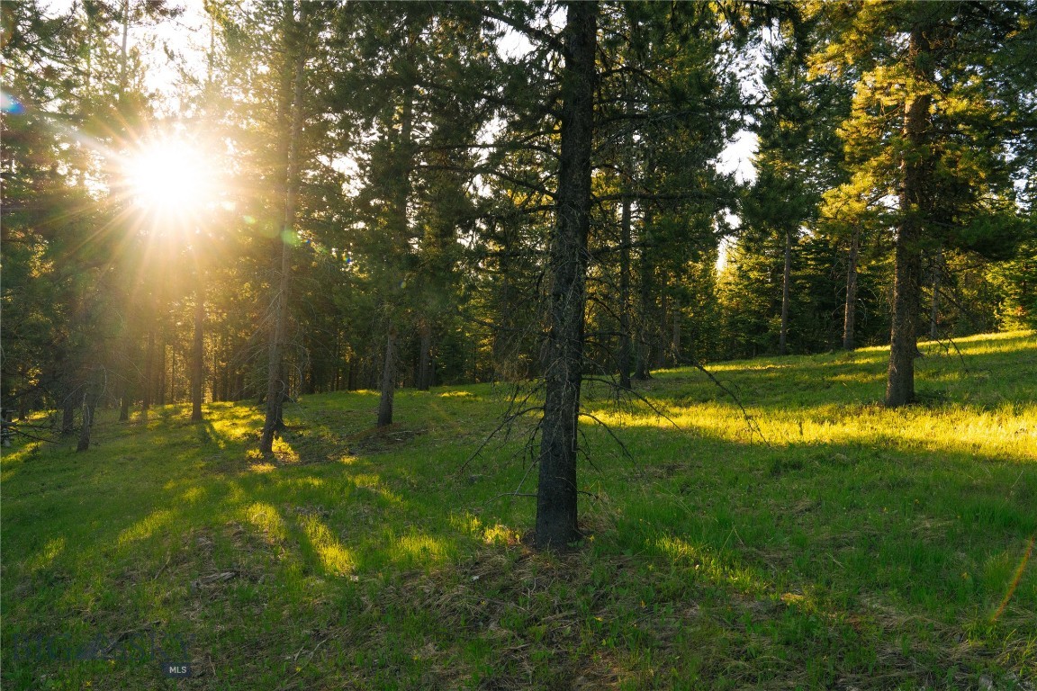 Spring Creek Reserve Neighborhood - Land