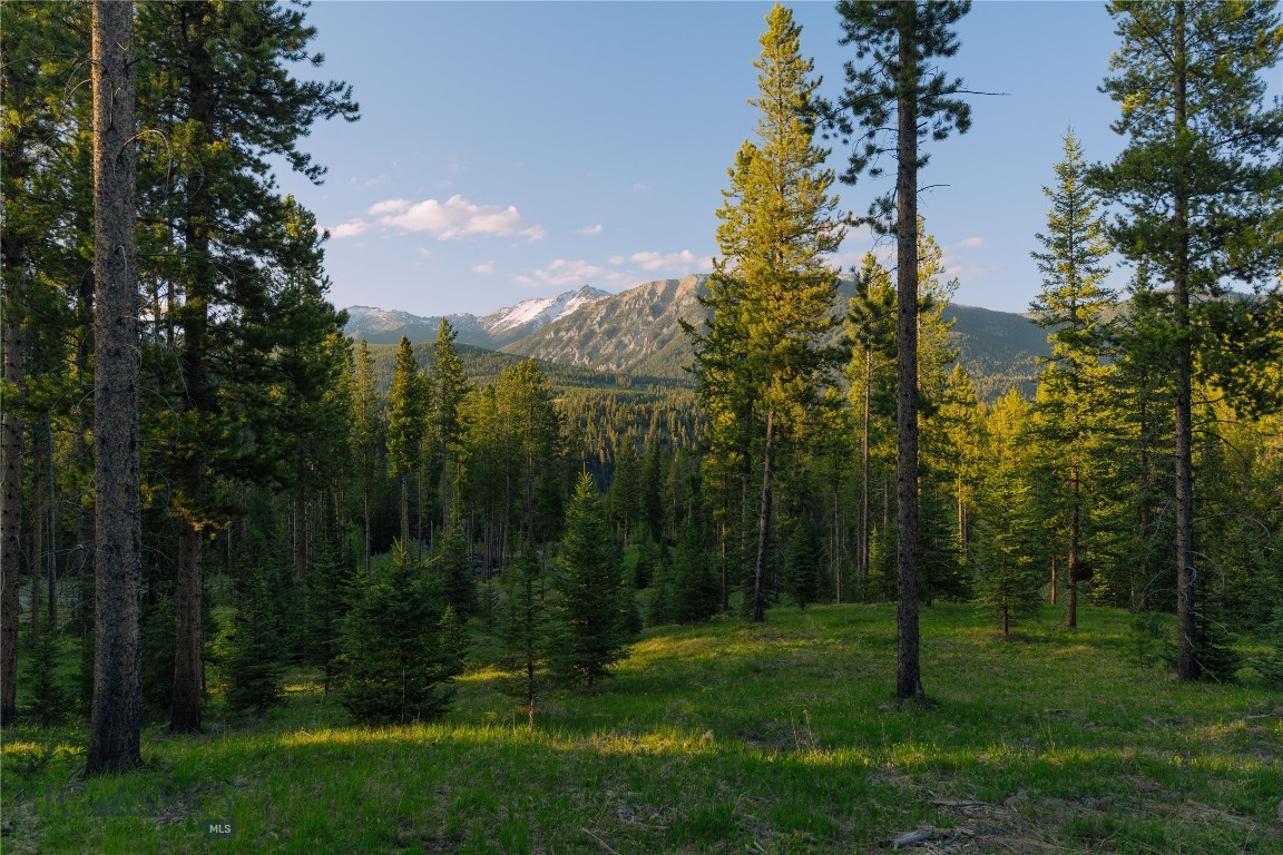 Spring Creek Reserve Neighborhood - Land