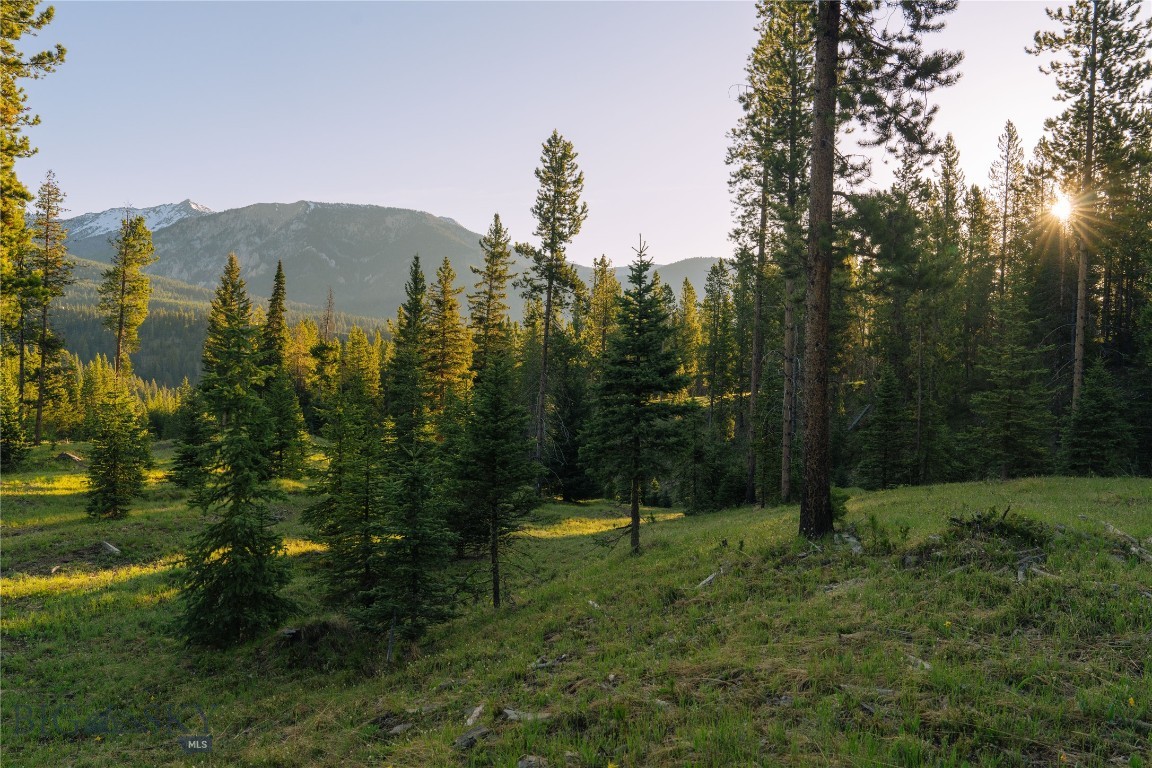 Spring Creek Reserve Neighborhood - Land