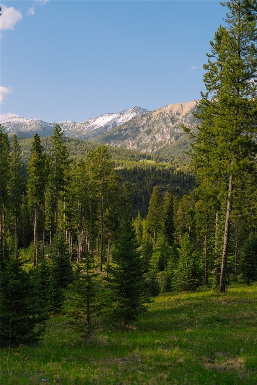 Spring Creek Reserve Neighborhood - Land