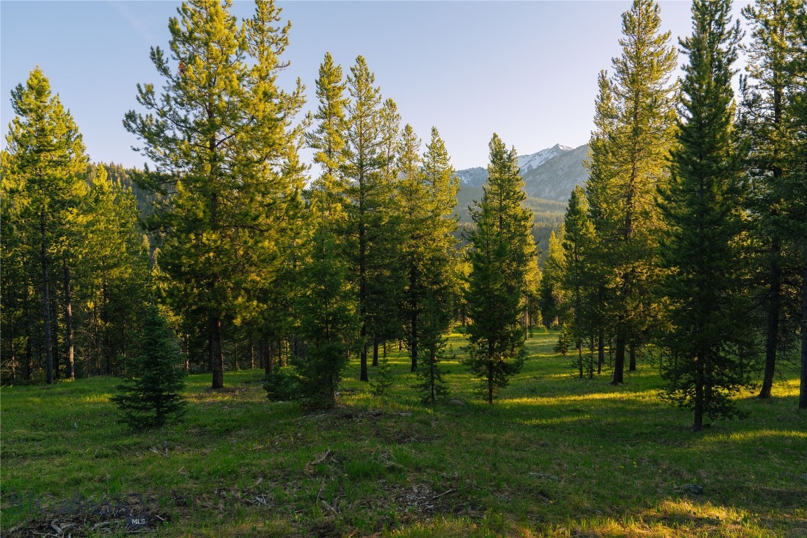 Spring Creek Reserve Neighborhood - Land