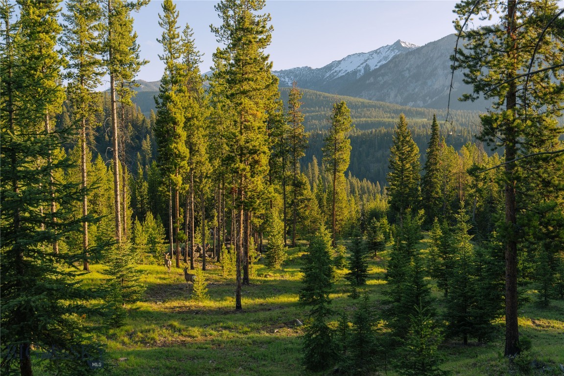 Spring Creek Reserve Neighborhood - Land