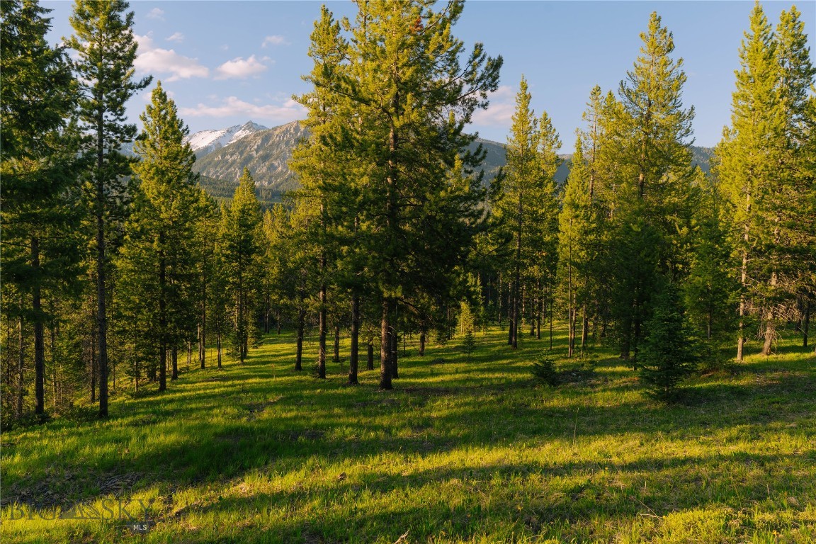Spring Creek Reserve Neighborhood - Land