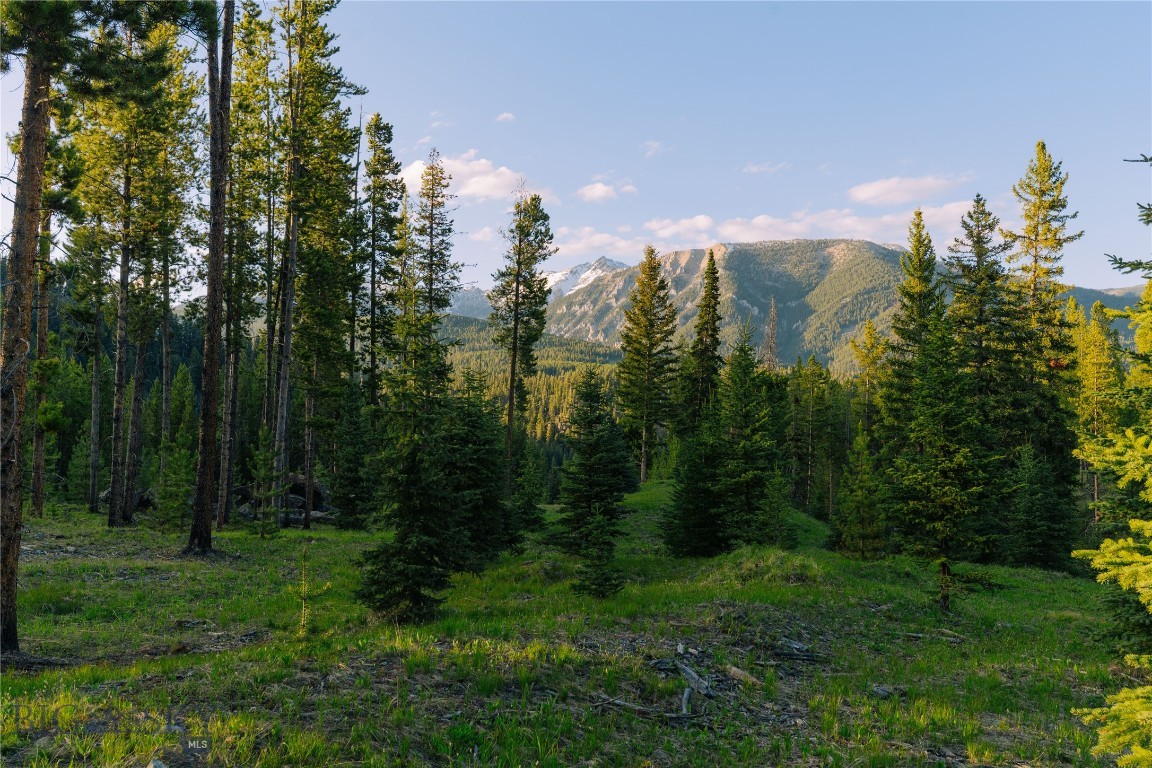 Lot 206 Outlook Trail