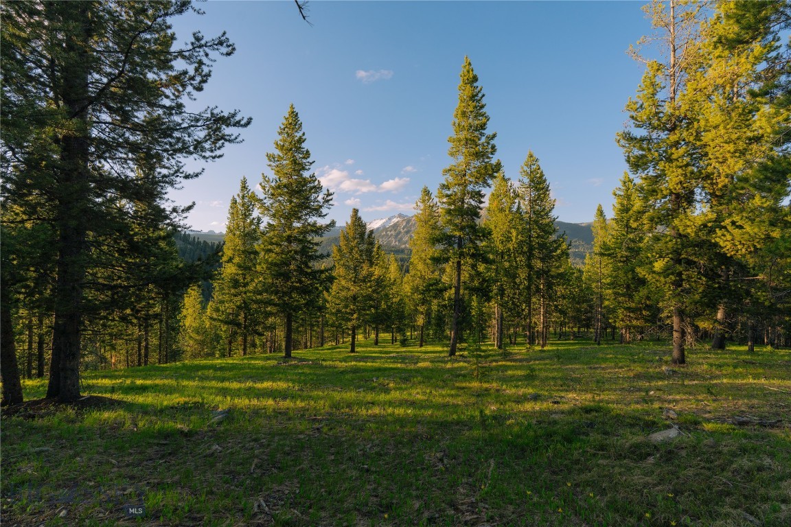 Spring Creek Reserve Neighborhood - Land