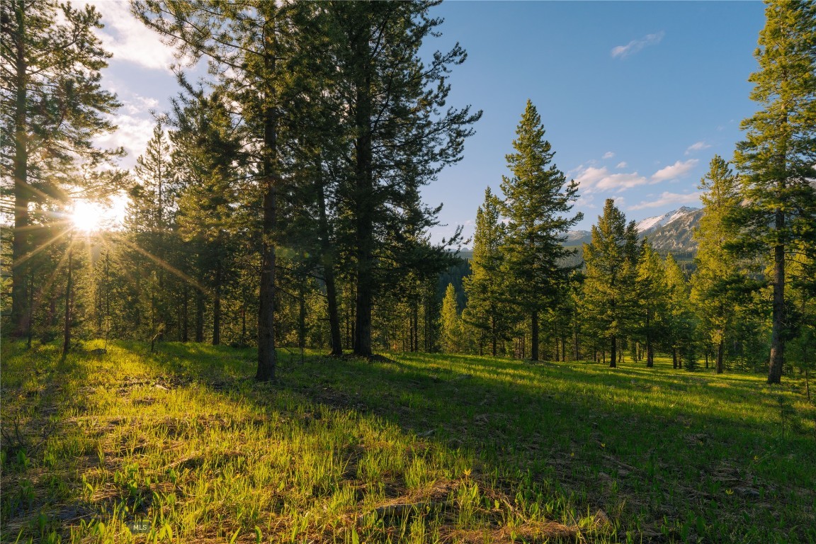 Spring Creek Reserve Neighborhood - Land