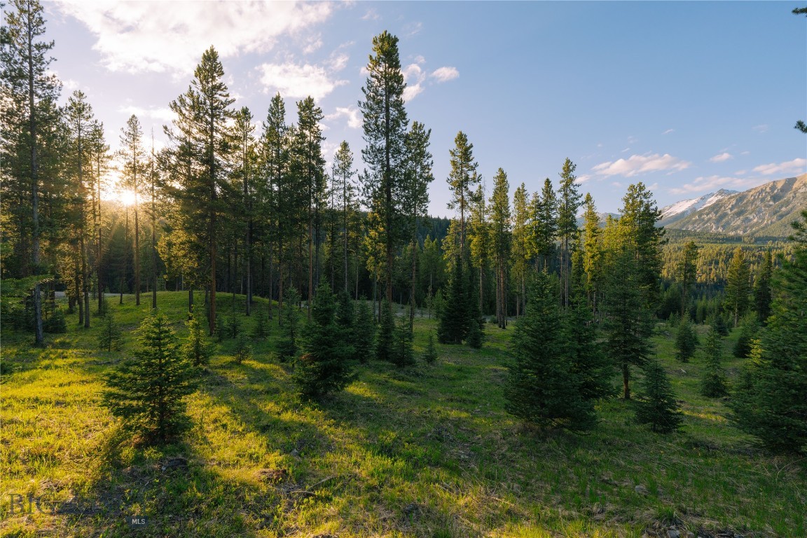 Spring Creek Reserve Neighborhood - Land