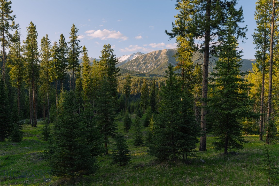 Spring Creek Reserve Neighborhood - Land