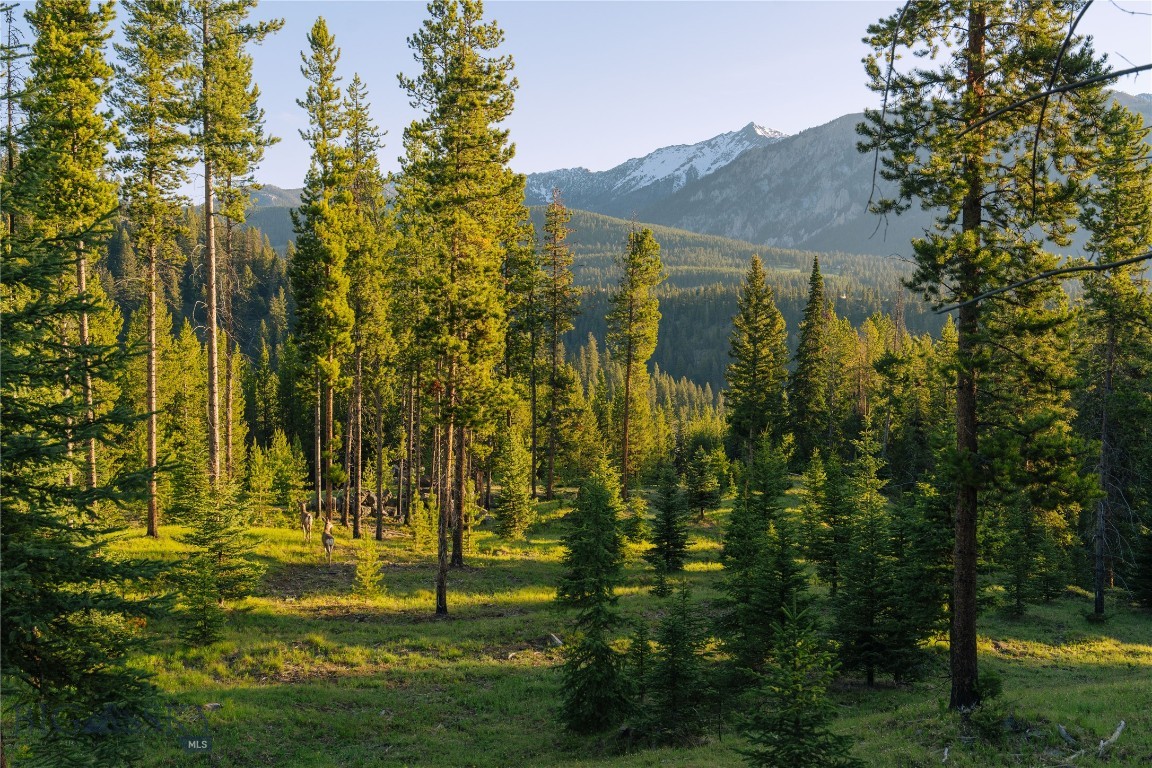 Spring Creek Reserve Neighborhood - Land
