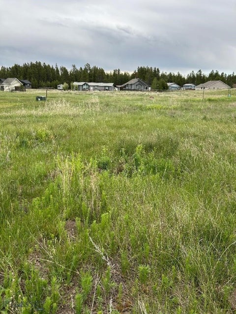 Photo of TBD Buffalo Drive, West Yellowstone, MT 59758 (MLS # 412022)